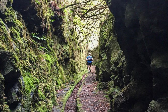 folhadal-hidden-treasures-running-tour-moderate