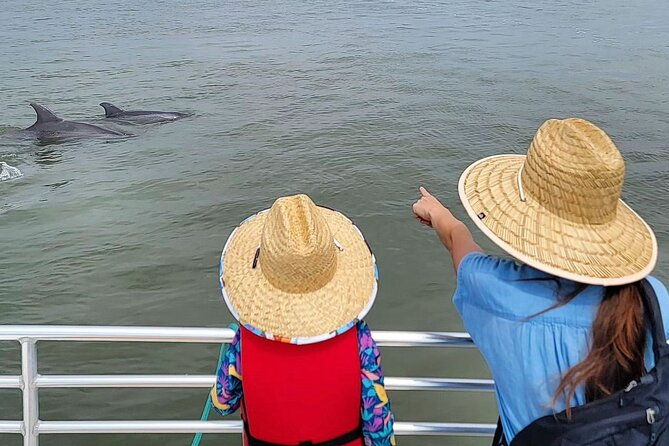 folly-beach-dolphin-viewing-boat-excursion-and-estuary-tour