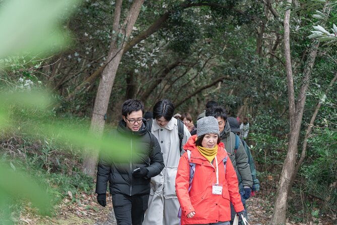forest-therapy-in-sasaguri-town