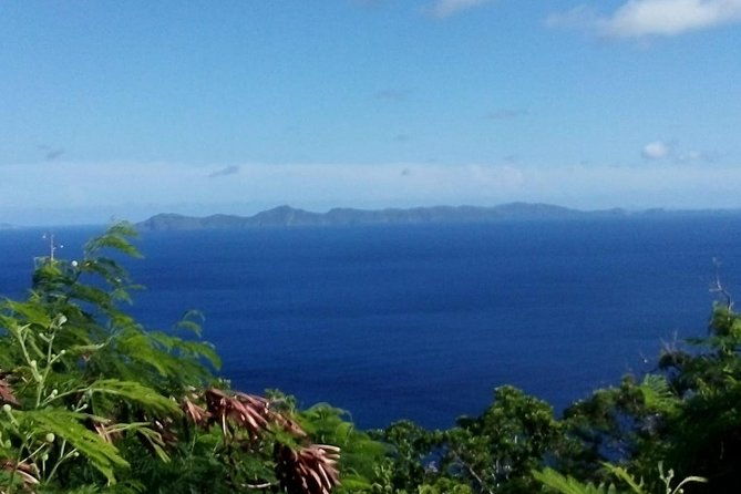 fort-charlotte-botanical-gardens-and-kingstown-tours-with-detention-tours