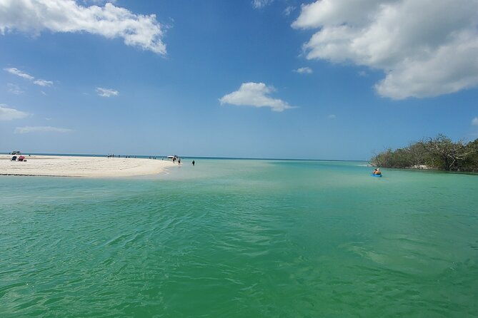 fort-myers-beach-dolphin-sightseeing-tour-refreshments-included