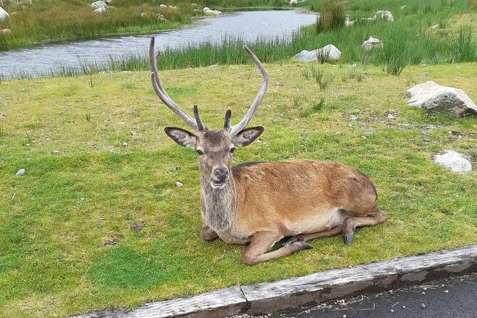 fort-william-and-glencoe