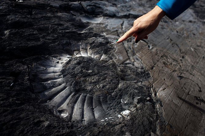 fossil-canyon-expedition