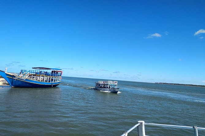 foz-do-rio-sao-francisco