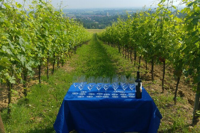 from-bologna-wine-tasting-and-vineyard-tour-with-the-winemaker