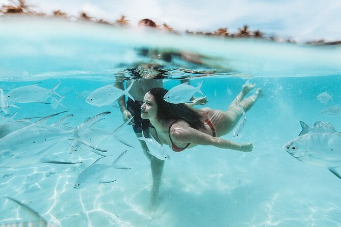 from-florida-bimini-bahamas-day-trip-by-fast-ferry