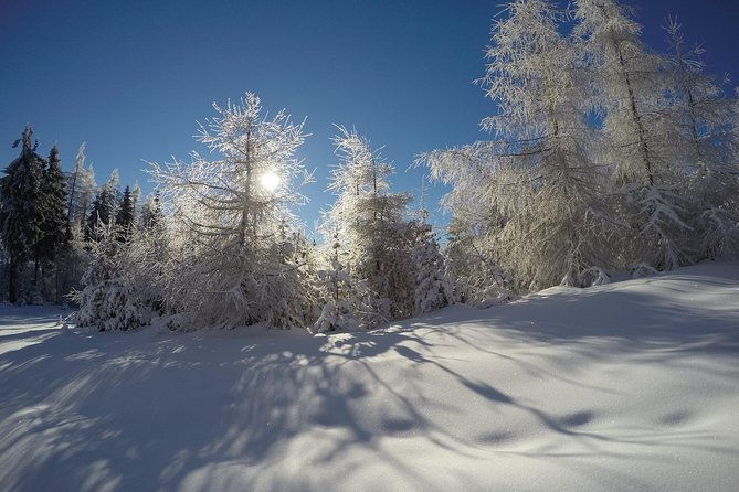 from-krakow-siepraw-skiing-for-beginners-2