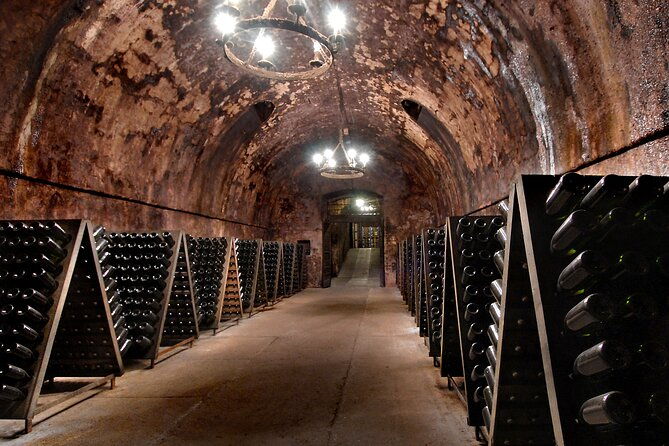 from-milan-full-day-in-franciacorta-2-wineries-and-lunch