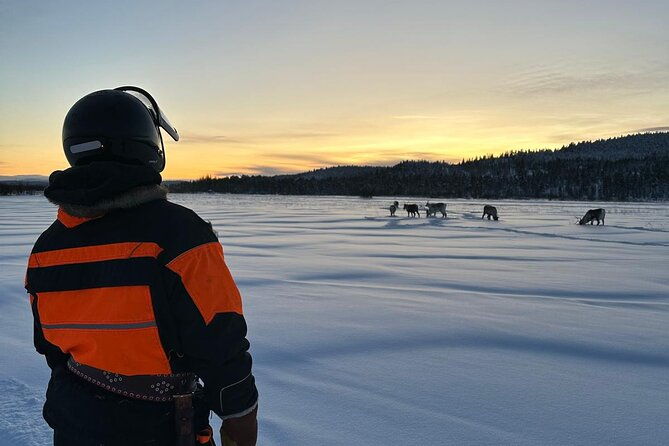 from-saariselka-ice-fishing-tour-to-lake-inari-reindeers-lunch