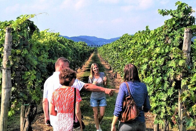 from-venice-wine-tour-in-the-euganean-hills
