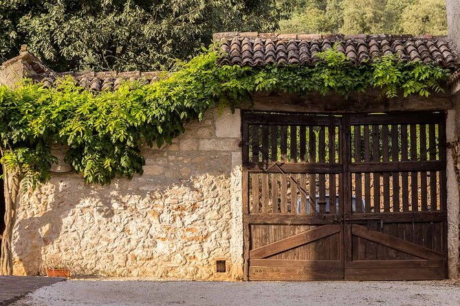 from-verona-prosecco-classic-method-sparkling-wine-tour-with-light-lunch