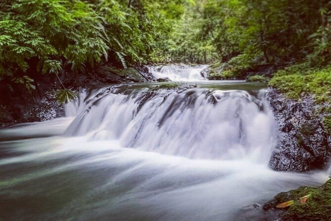 full-day-adventure-in-corcovado-national-park-from-drake-bay