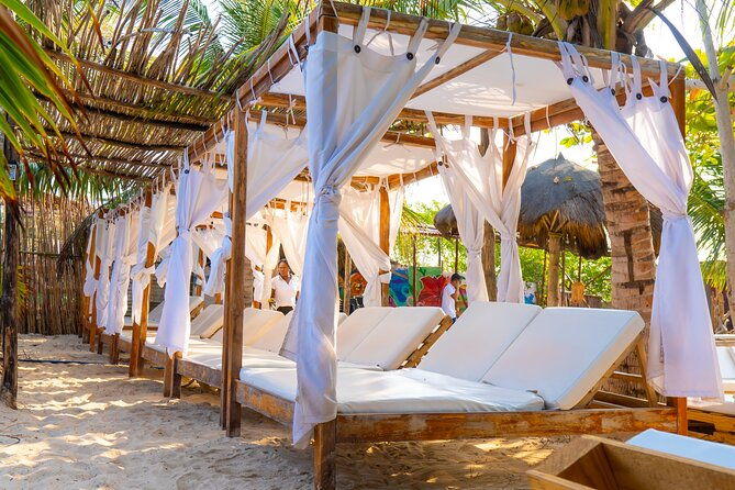 full-day-adventure-isla-baru-mangroves-snorkeling-bioluminescent-plankton