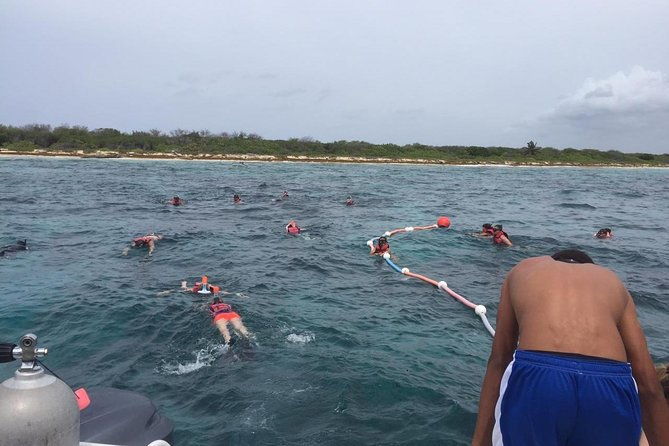 full-day-at-catalina-island-from-santo-domingo-with-optional-snorkeling-included