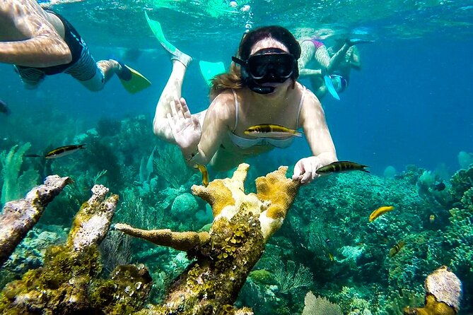 full-day-by-the-islands-of-the-rosary-cartagena
