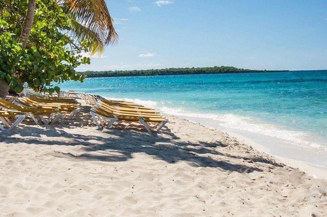 full-day-catalina-island-scuba-diving-tour-from-la-romana