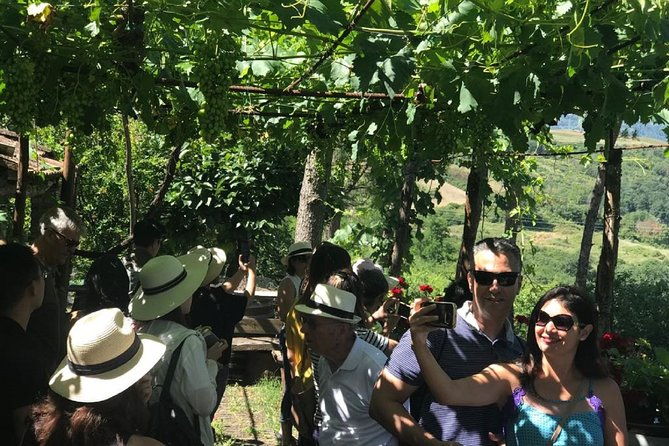 full-day-chianti-tour-by-vespa-scooter-from-san-gimignano
