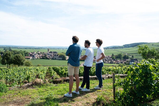 full-day-from-dijon-the-most-of-burgundy-with-lunch-2