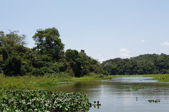 full-day-gatun-lake-and-indian-village-tour-from-panama-city