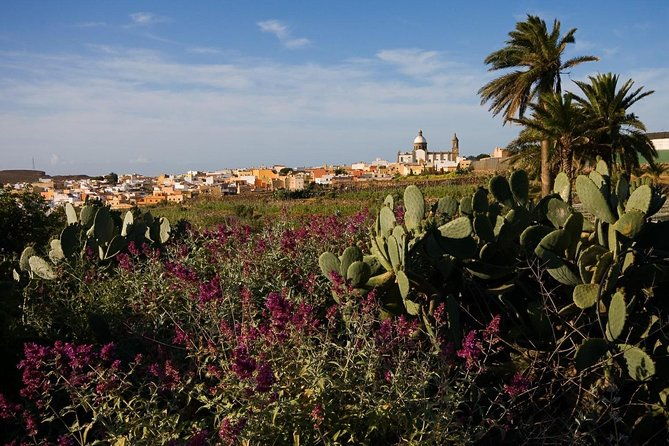 full-day-gran-canaria-island-tour-cumbres