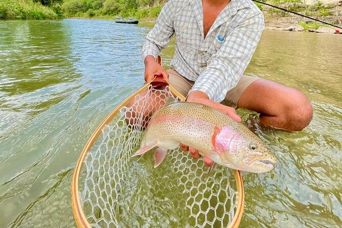 full-day-guided-fishing-tour-in-canyon-lake