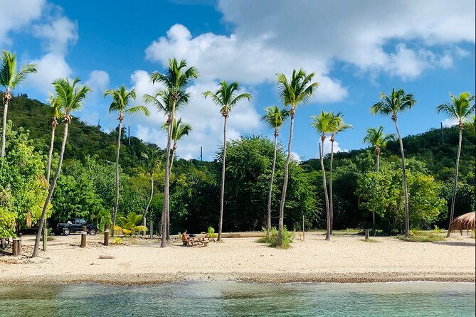 full-day-luxury-catamaran-turtle-snorkel-and-beach-getaway