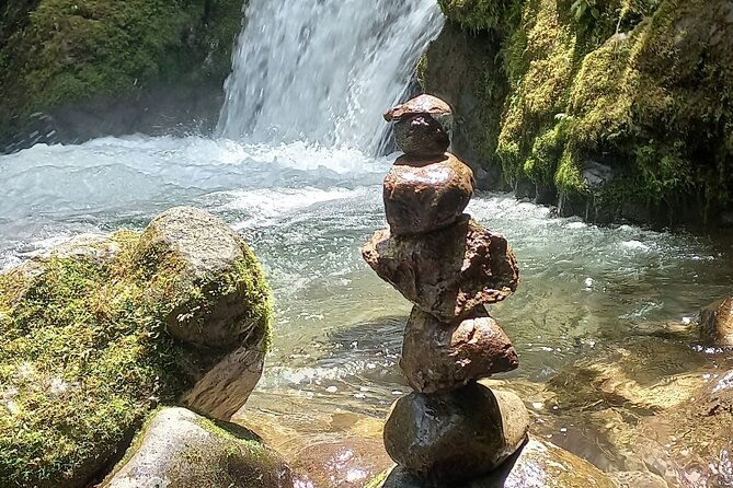 full-day-mindo-cloud-forest-tailor-made-tour