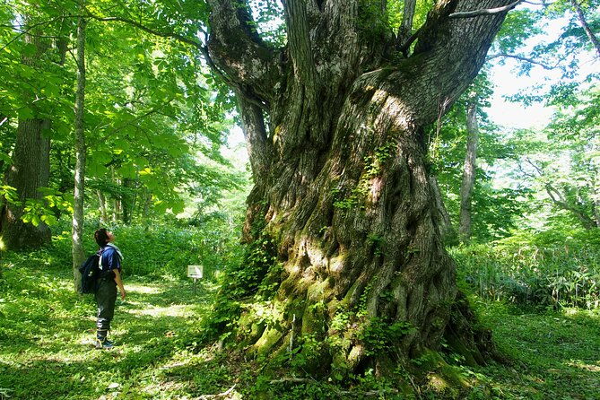 full-day-north-nagano-hiking-experience