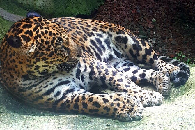 full-day-poas-volcano-la-paz-waterfall-gardens-and-coffee-plantation-experience