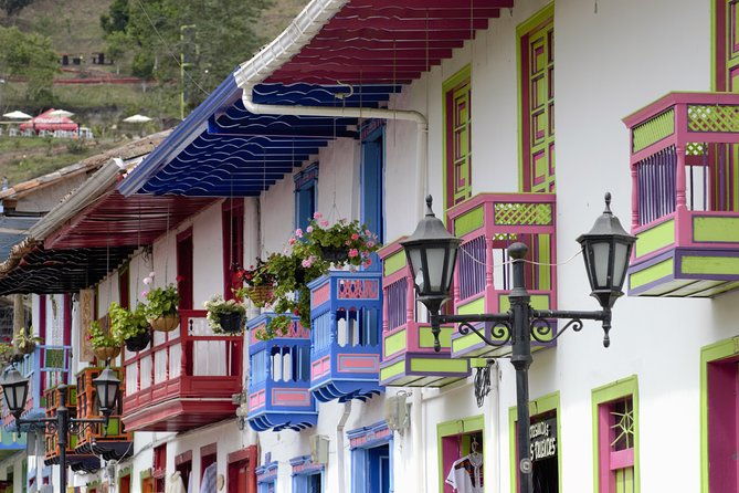 full-day-private-coffee-tour-in-cocora-valley-and-salento