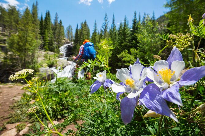full-day-private-guided-scenic-colorado-mountain-hike