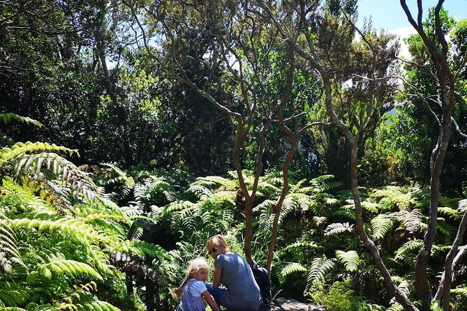 full-day-private-tour-of-faial
