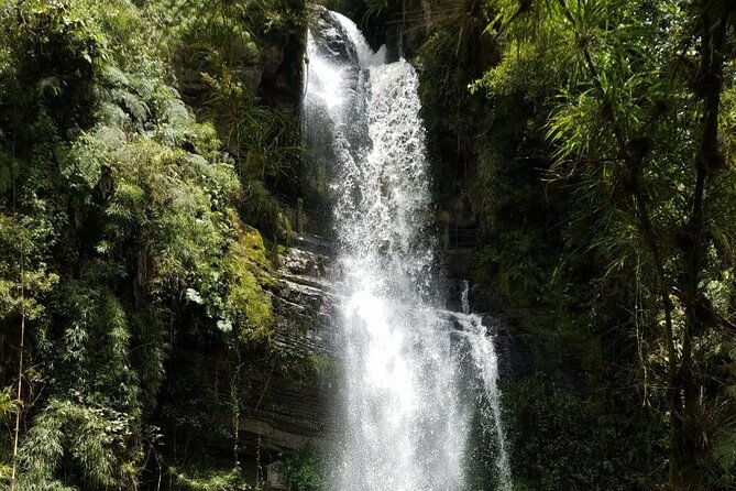 full-day-private-tour-to-la-chorrera-waterfall-and-el-chiflon