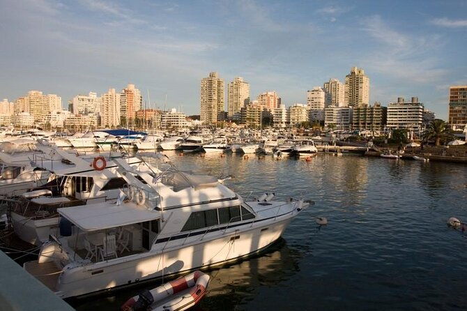 full-day-punta-del-este