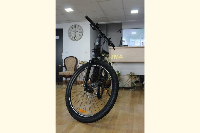 full-day-rental-of-electric-mountain-e-bike