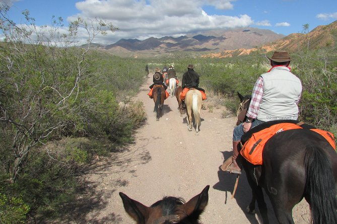 full-day-ride-at-the-foot-of-the-andes