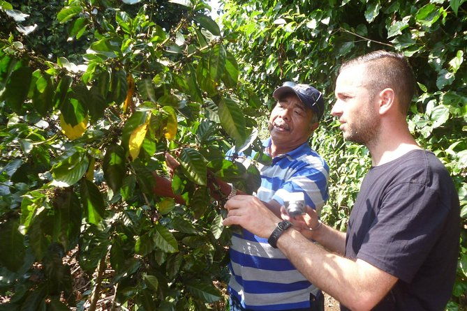 full-day-route-of-the-flowers-visiting-four-colonial-towns-and-a-coffee-farm