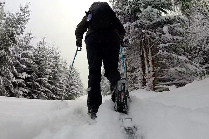 full-day-snowshoeing-in-high-tatras-with-local-mountain-guide-from-poprad