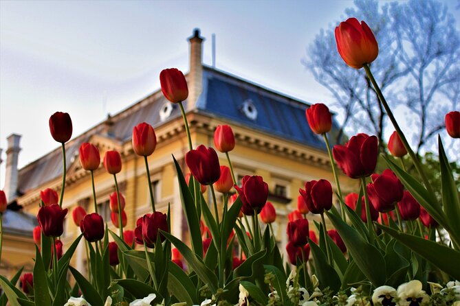full-day-sofia-tour-2
