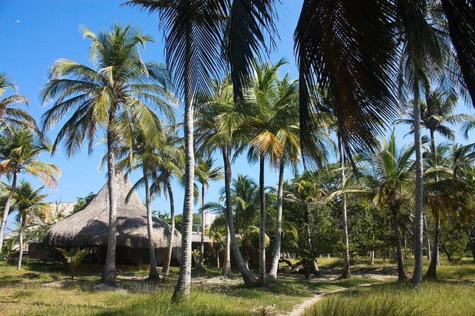 full-day-tour-5-islands-vip