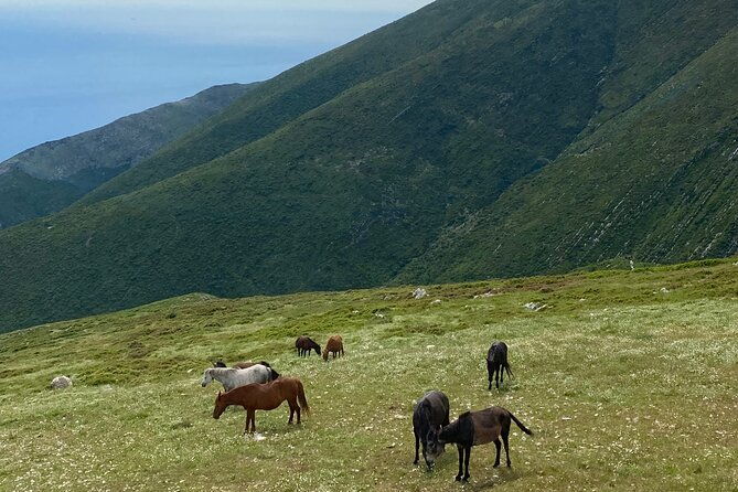 full-day-tour-from-albanian-riviera-borsh-to-dhermi-and-llogara