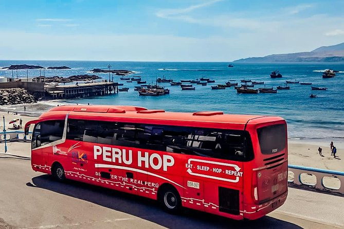 full-day-tour-from-lima-ballestas-islands-and-paracas-reserve
