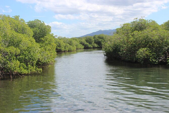 full-day-tour-isla-bonita-deluxe