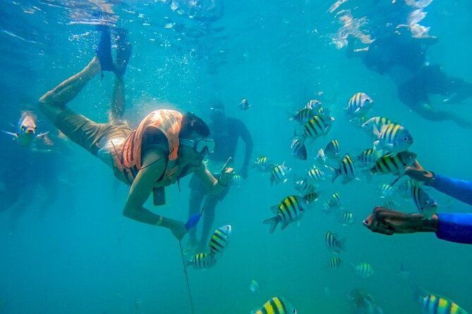 full-day-tour-of-5-islands-with-plankton-included