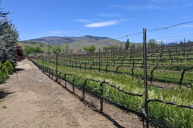 full-day-tour-of-rogue-valley-wineries
