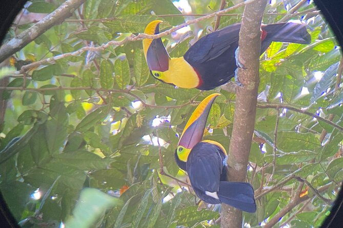 full-day-tour-to-hacienda-baru-and-nauyaca-waterfalls
