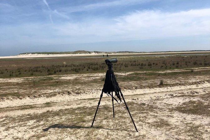 full-day-tour-to-texel-friesian-islands-from-amsterdam-2