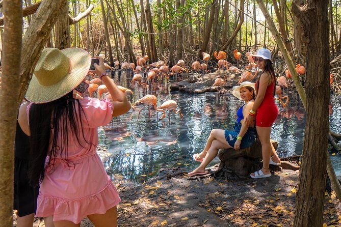 full-day-tour-to-the-playa-blanca-national-aviary-and-plankton