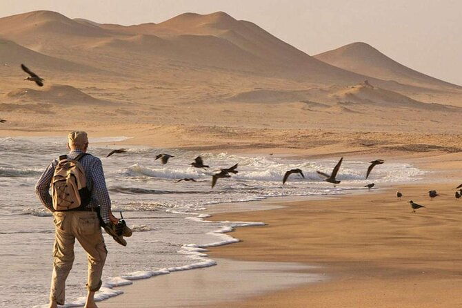 full-day-tour-to-visit-ballestas-islands-and-paracas-reserve
