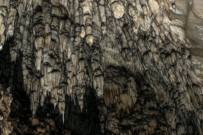 full-day-trip-from-belgrade-uvac-nature-reserve-tour